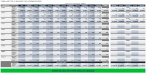 12-monats-umsatzprognose-vorlage-excel