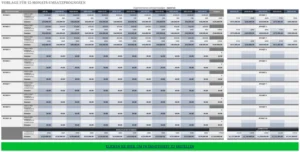 12-monats-umsatzprognosen-vorlage-excel