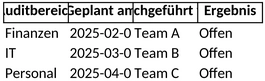 auditplanung-und-durchfuehrung-vorlage-excel