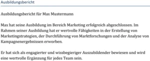 ausbildungsbericht-fuer-marketing-erfahrungen-und-faehigkeiten