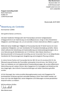 bewerbung-als-controller-finanzanalysen-prozessoptimierung