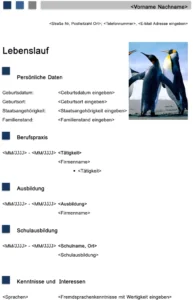 bewerbung-und-lebenslauf-vorlage