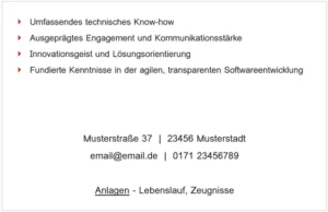 bewerbung-vorlage-fuer-professionelle-bewerbungen-und-lebenslaeufe
