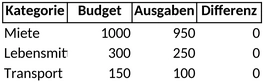 budgetplanung-und-ausgabenmanagement-vorlage