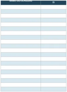 excel-vorlage-fuer-die-klassenanwesenheit