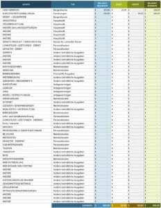 excel-vorlage-fuer-trial-balance-und-finanzmanagement