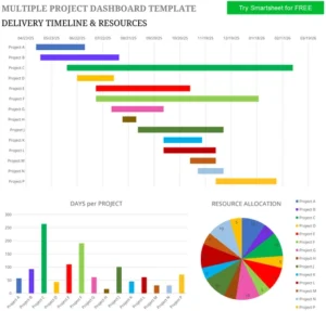 excel-vorlage-mehrprojekt-dashboard-organisation