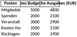 haushaltsplan-fuer-vereine-einnahmen-ausgaben-im-blick
