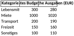 haushaltsplanung-und-budgetkontrolle