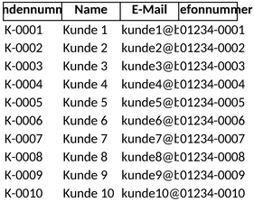 kundendatenbank-vorlage-fuer-bueroorganisation