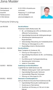 lebenslauf-berufskraftfahrer-berufskraftfahrer-berufskraftfahrer-berufskraftfahrer