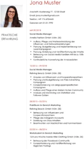 lebenslauf-social-media-manager