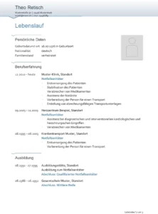 lebenslauf-vorlage-berufliche-entwicklung