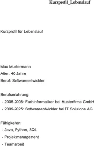 lebenslauf-vorlage-kurzprofil-berufserfahrung-faehigkeiten