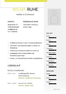 lebenslauf-vorlage-mit-struktur-und-design