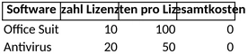 lizenzmanagement-software-kosten-uebersicht-optimierung