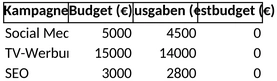 marketing-budget-planung-ausgaben-ueberwachung-optimierung
