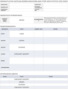monatliche-statusaktualisierung-vorlage-fuer-projekte