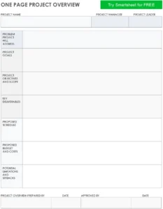 one-page-project-overview-pdf