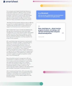 pdf-vorlage-fuer-effektives-projektmanagement-und-unternehmensorganisation