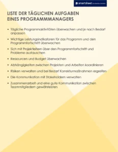 pdf-vorlage-fuer-taegliche-aufgaben-eines-programmanagers