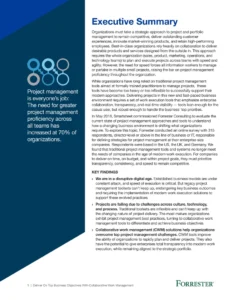 pdf-zur-unterstuetzung-von-projektmanagement-und-hr-management