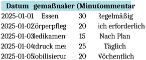 pflegetagebuch-fuer-die-pflegeorganisation-excel