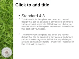 powerpoint-vorlage-fuer-vielseitige-praesentationen-mit-standardformat