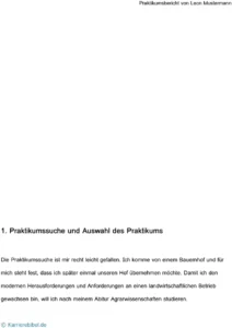 praktikumsbericht-vorlage-mit-strukturierten-abschnitten