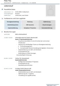professioneller-lebenslauf-word-vorlage-fuer-bewerbungen