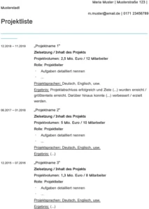 projektliste-vorlage-fuer-berufliche-anwendungen