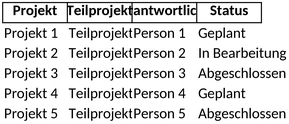 projektmanagement-und-bueroorganisation-vorlage