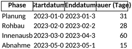 projektplan-bauzeitenplan