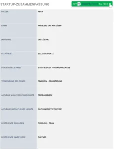 startup-zusammenfassung-vorlage-fuer-unternehmer