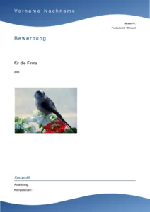 vorlage-fuer-bewerbungen-und-lebenslaeufe