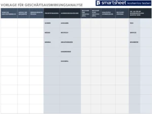 vorlage-fuer-geschaeftsauswirkungsanalyse-mit-strategien