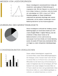vorlage-fuer-projektfallstudien-in-word