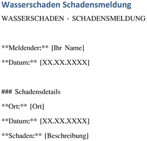 wasserschaden-schadenmeldung-vorlage-fuer-einfache-dokumentation