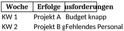 wochenbericht-erfolge-und-herausforderungen-dokumentieren