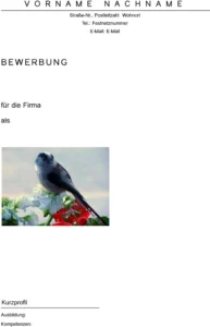 word-vorlage-bewerbung-lebenslauf-unterlagen