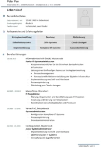 word-vorlage-fuer-lebenslauf-professionell-individuell-gestalten