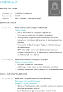 word-vorlage-fuer-lebenslauf-professionelle-gestalt