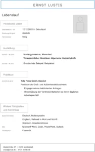 word-vorlage-fuer-lebenslauf-strukturiert-und-ansprechend