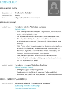 word-vorlage-fuer-lebenslauf-strukturierte-anpassbare-muster