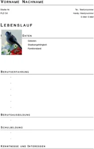 word-vorlage-fuer-lebenslauf-und-bewerbung